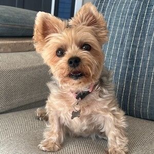 Meet your Posher, Haley